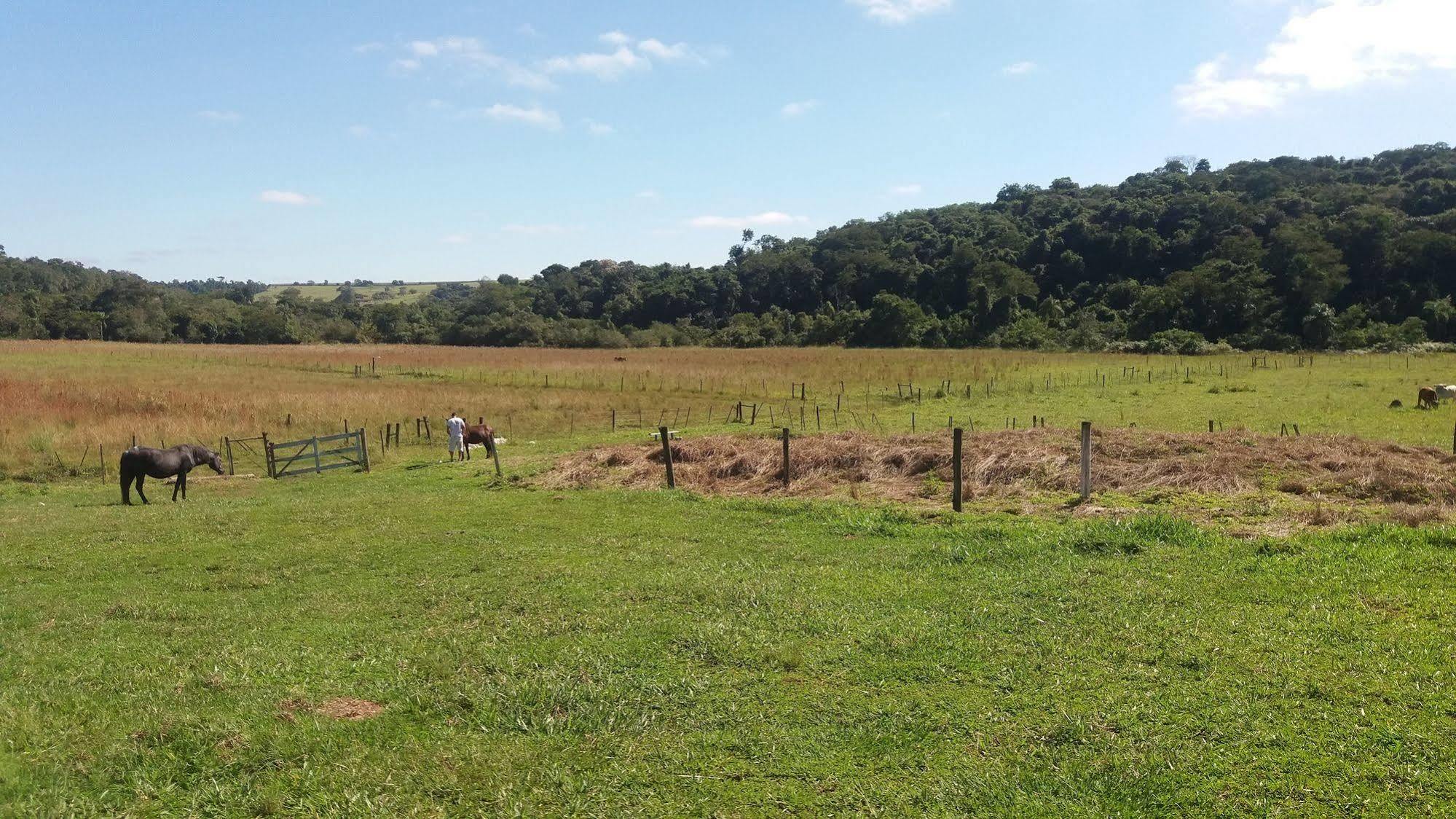 Hotel Fazenda Recanto Do Monte Alegre Piraju Luaran gambar